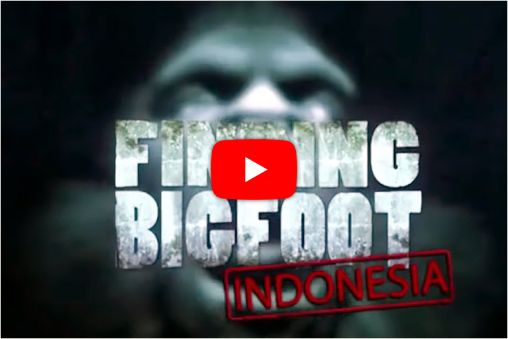 Adam Davies on Finding Bigfoot Indonesia episode