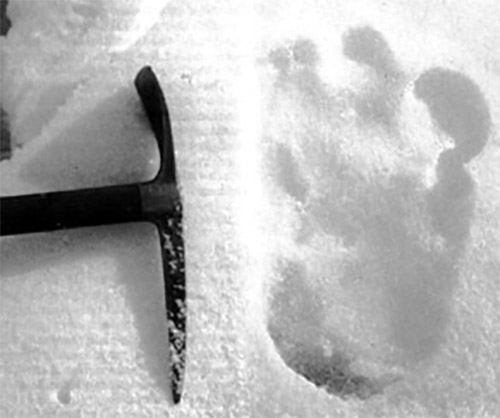 Shipton Yeti footprint